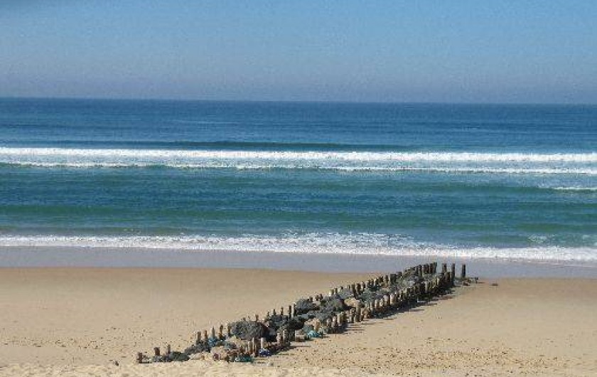 Location de vacances - Camping à Sainte-Eulalie-en-Born