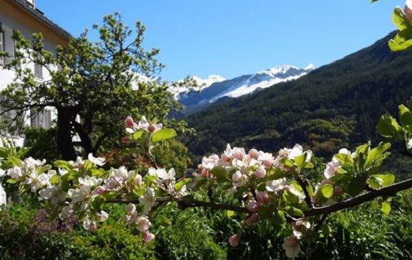 Location de vacances - Gîte à Colmars - La ferme des Transhumances au printemps