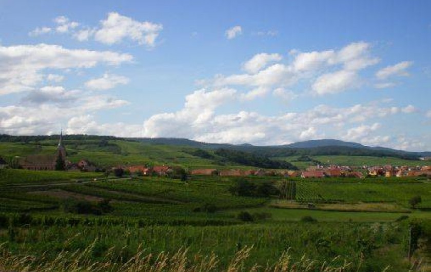 Location de vacances - Gîte à Blienschwiller