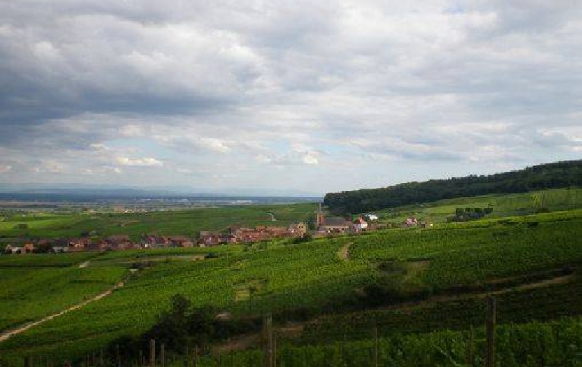 Location de vacances - Gîte à Blienschwiller