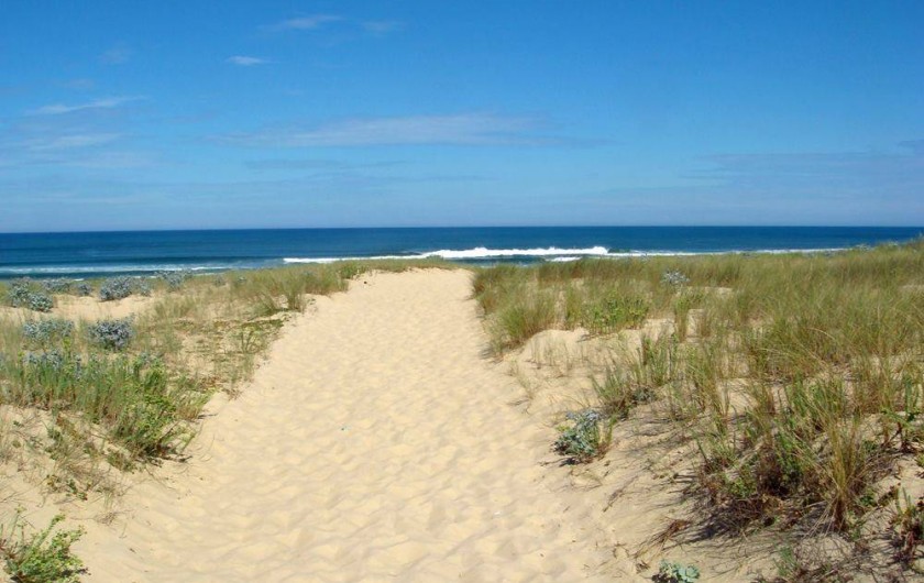 Location de vacances - Villa à Mimizan - plage Mimizan