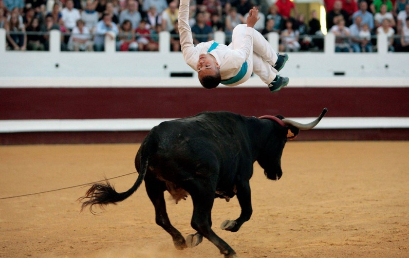Location de vacances - Villa à Mimizan - les célèbres courses landaises