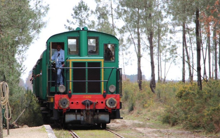 Location de vacances - Villa à Mimizan - partez visiter l'écomusée de marquèze avec le petit train de la haute lande