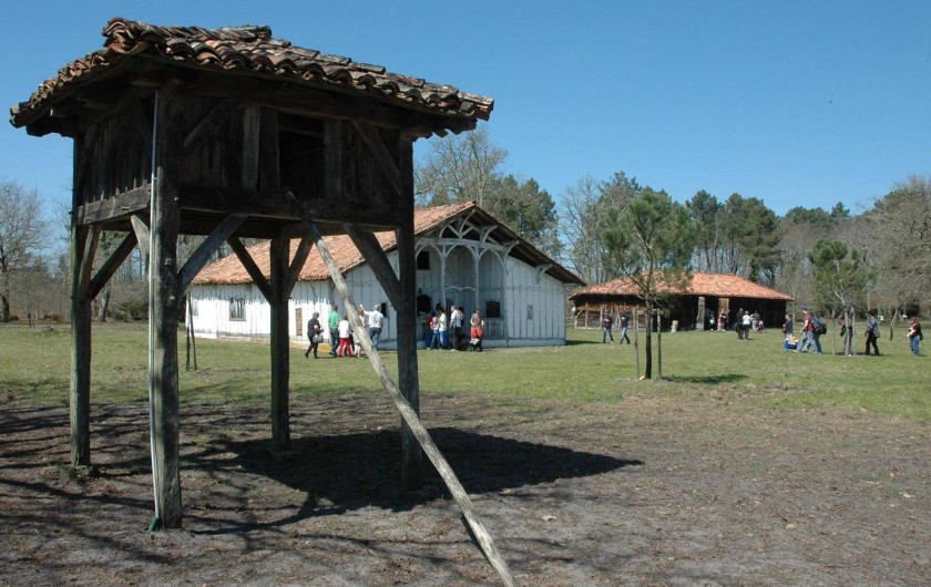 Location de vacances - Villa à Mimizan - airial de l'écomusée de  Marquèze