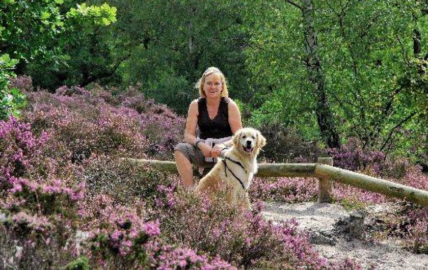 Location de vacances - Chambre d'hôtes à Fère-en-Tardenois