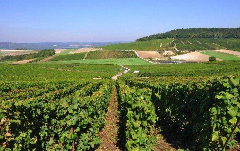 Location de vacances - Chambre d'hôtes à Fère-en-Tardenois
