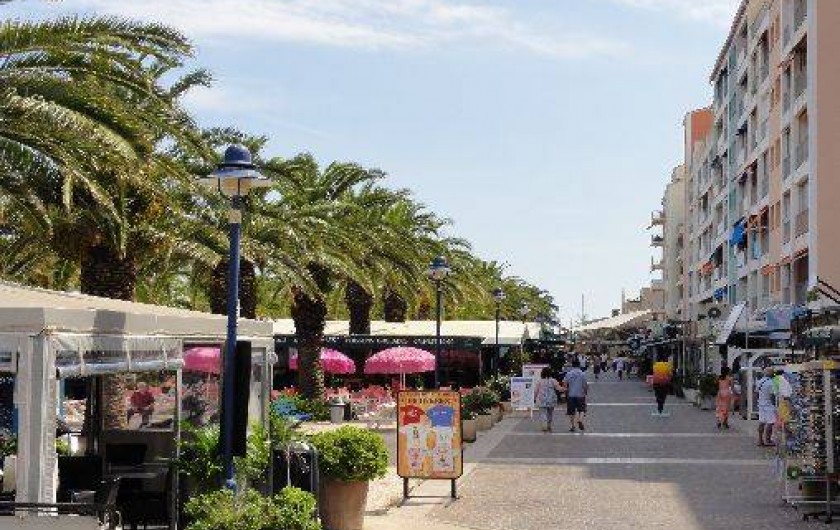 Location de vacances - Appartement à Hyères