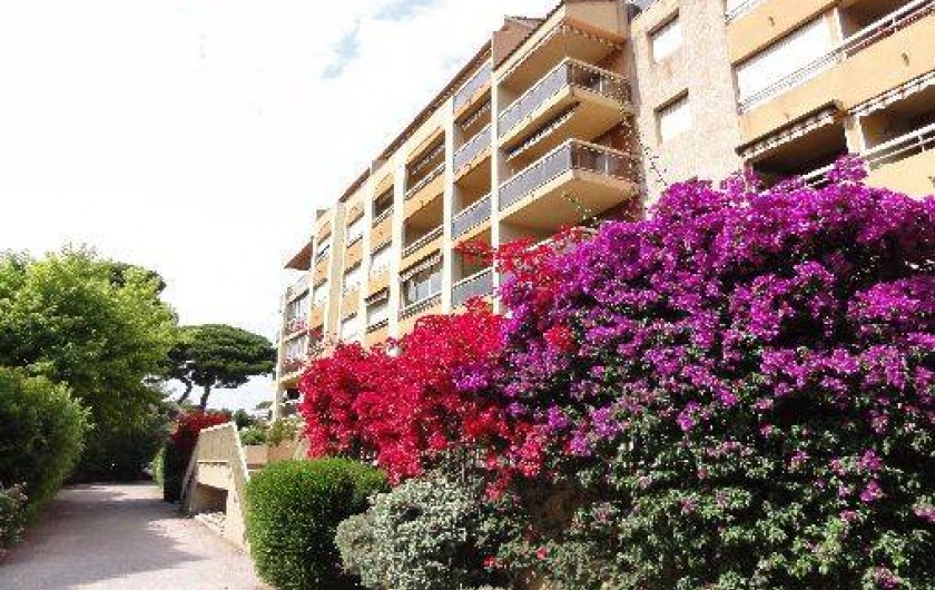 Location de vacances - Appartement à Hyères