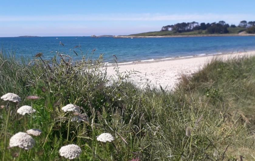 Location de vacances - Villa à Landéda