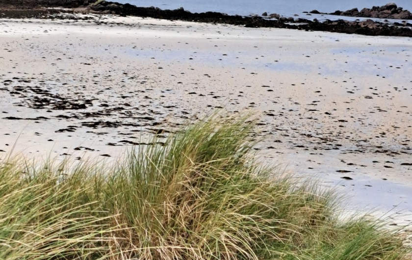 Location de vacances - Villa à Landéda