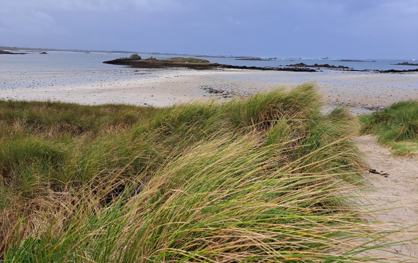 Location de vacances - Villa à Landéda