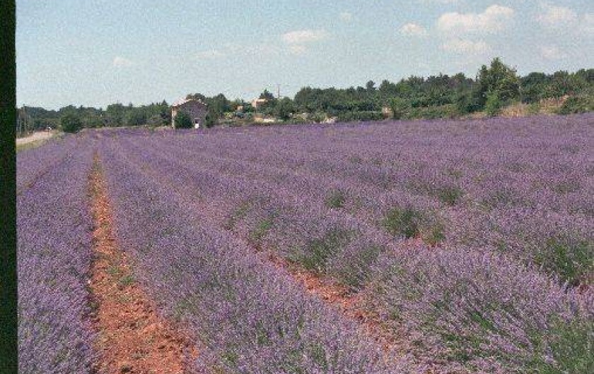 Location de vacances - Appartement à Rustrel
