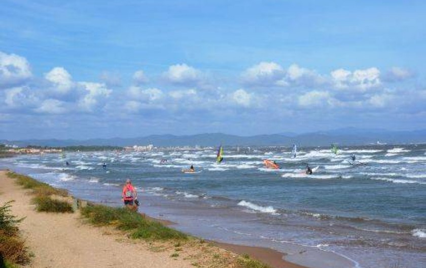 Location de vacances - Studio à Hyères