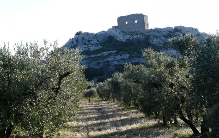 Location de vacances - Villa à Aureille - Aureille