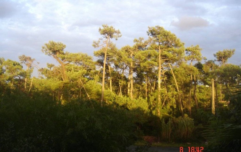 Location de vacances - Appartement à Anglet