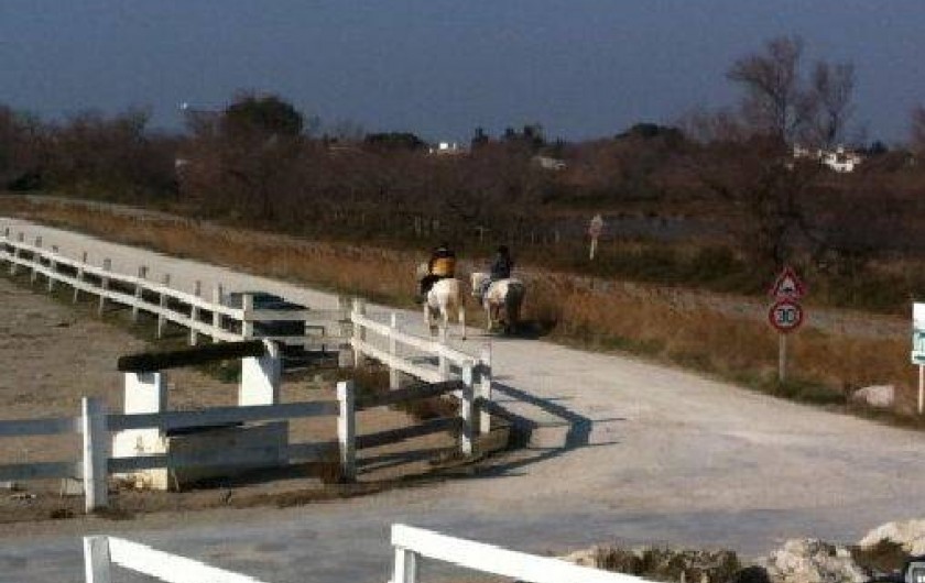 Location de vacances - Appartement à Saintes-Maries-de-la-Mer