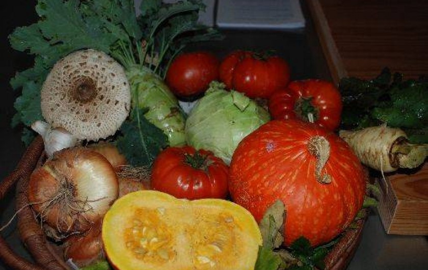 Location de vacances - Chambre d'hôtes à Beaune-d'Allier