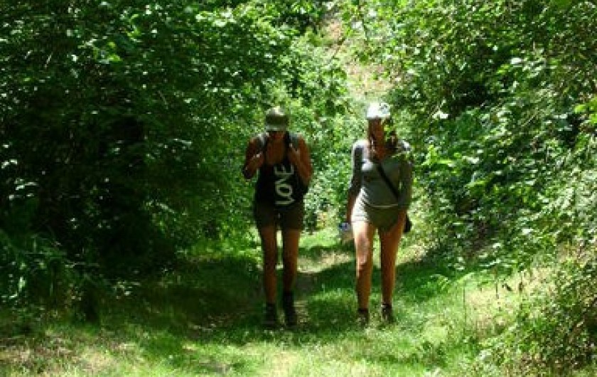 Location de vacances - Chambre d'hôtes à Beaune-d'Allier