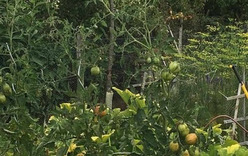 Location de vacances - Chambre d'hôtes à Beaune-d'Allier
