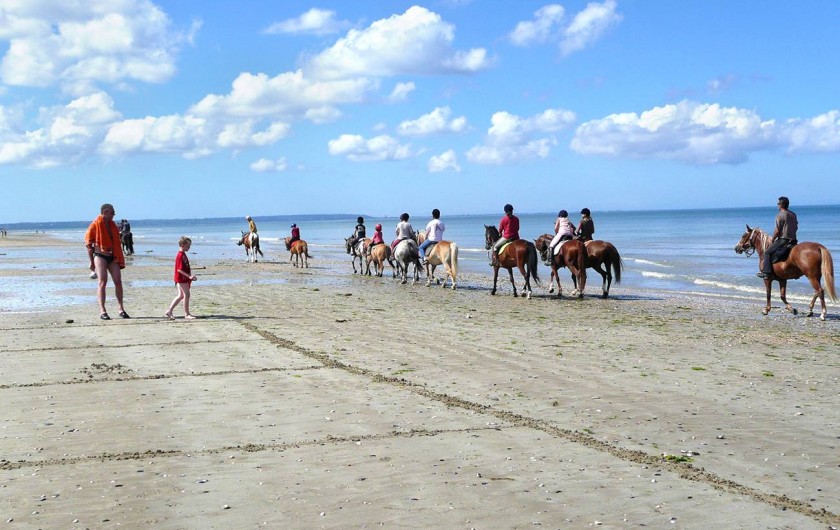 Location de vacances - Bungalow - Mobilhome à Ravenoville Plage - Balade à cheval sur la plage.