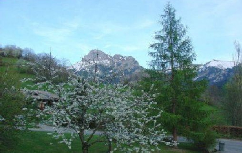 Location de vacances - Appartement à Bernex