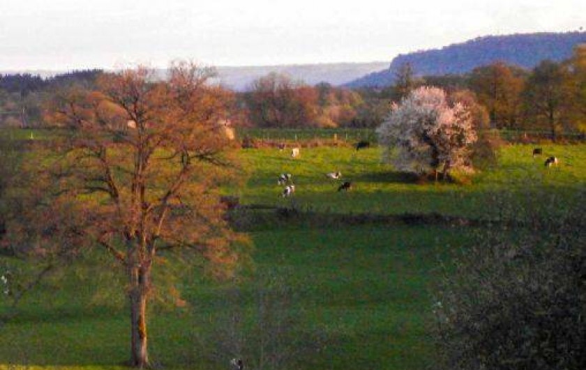 Location de vacances - Gîte à Cros