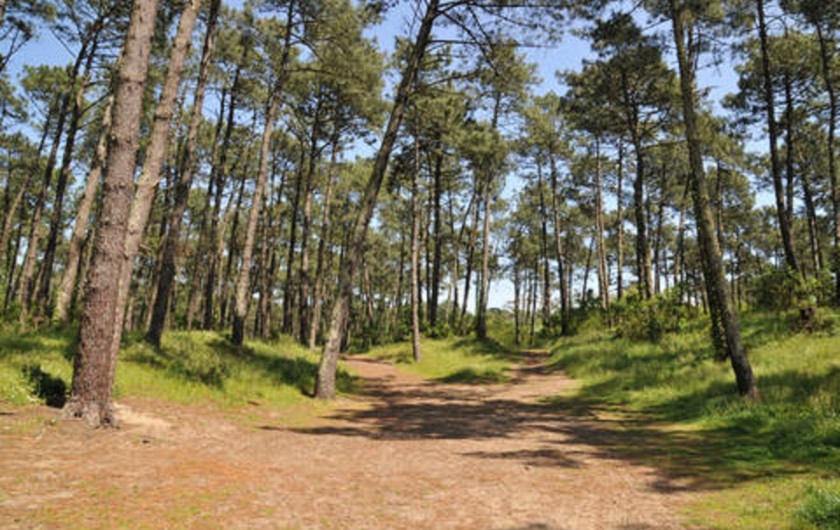 Location de vacances - Studio à Anglet