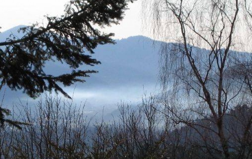 Location de vacances - Appartement à Fellering