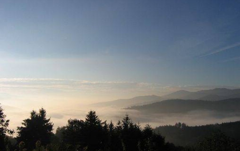 Location de vacances - Appartement à Fellering