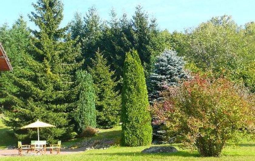 Location de vacances - Appartement à Fellering