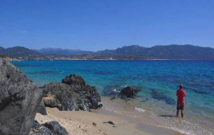 Location de vacances - Villa à Olmeto - Plage de Calanca