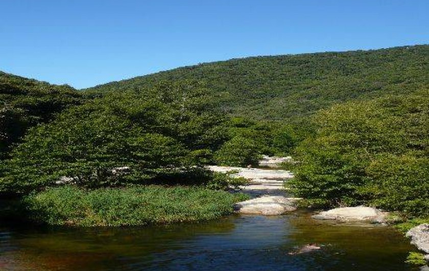 Location de vacances - Villa à Olmeto