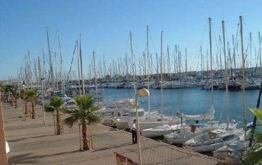 Location de vacances - Appartement à Gruissan