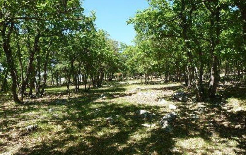 Location de vacances - Villa à La Verdiere - fond du terrain