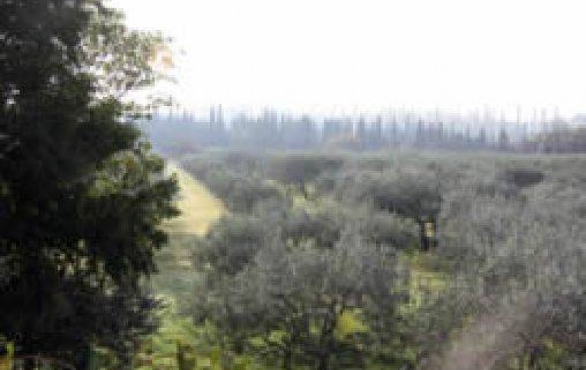 Location de vacances - Gîte à Tarascon