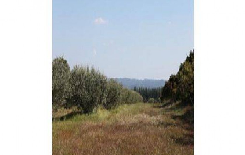 Location de vacances - Gîte à Tarascon