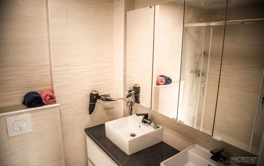 Location de vacances - Appartement à Annecy - salle de bains