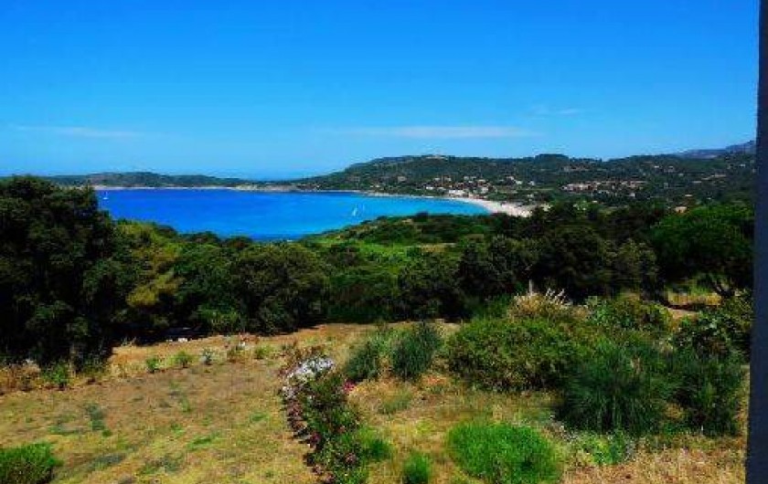 Location de vacances - Appartement à Cargèse