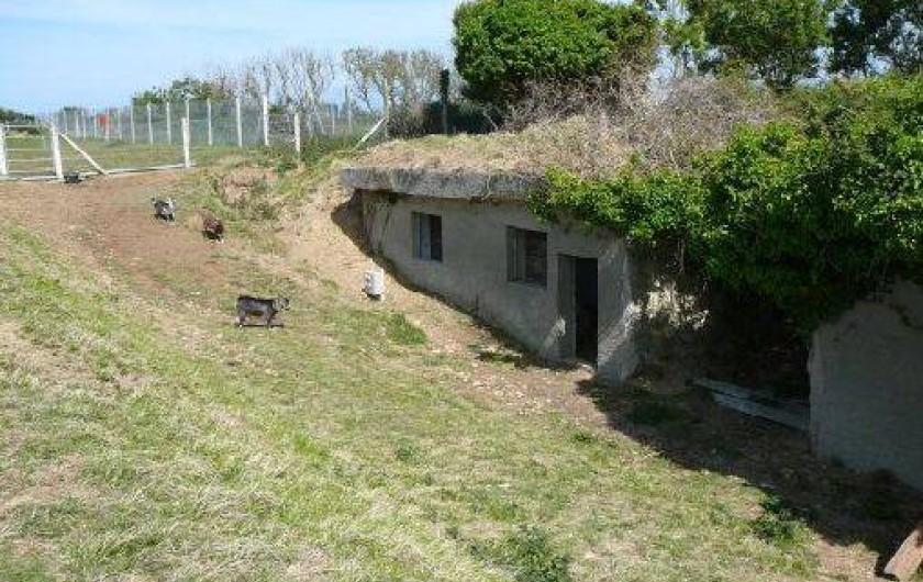 Location de vacances - Camping à Vierville-sur-Mer