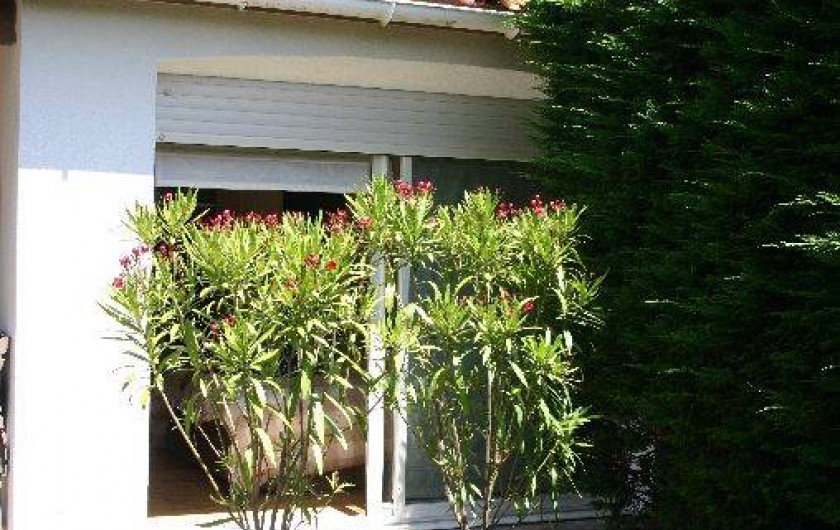 Location de vacances - Villa à La Couarde-sur-Mer