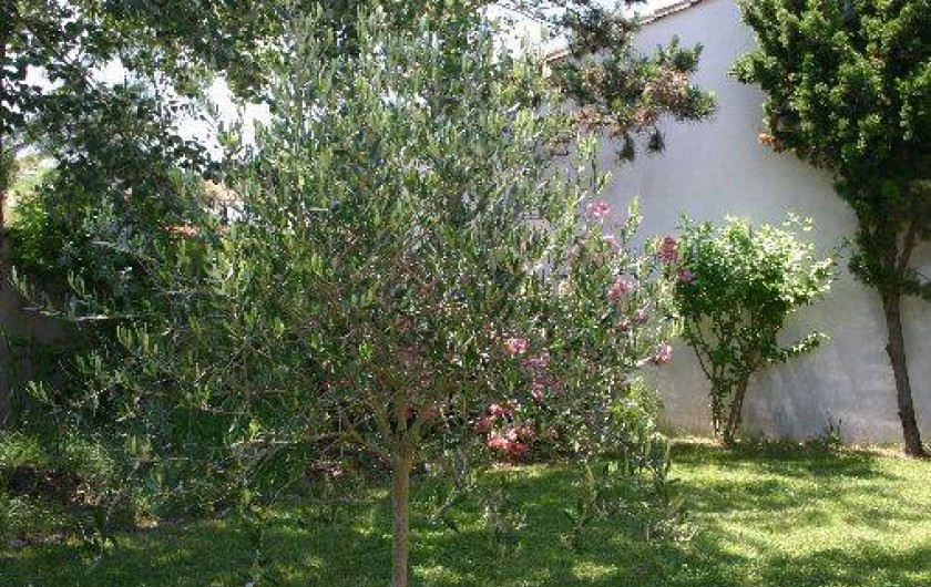 Location de vacances - Villa à La Couarde-sur-Mer