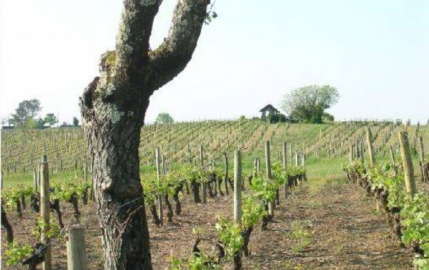 Location de vacances - Maison - Villa à Saint-Philippe-d'Aiguille