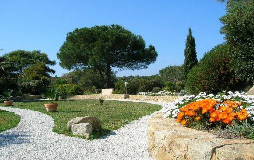 Location de vacances - Appartement à Lumio - Jardin