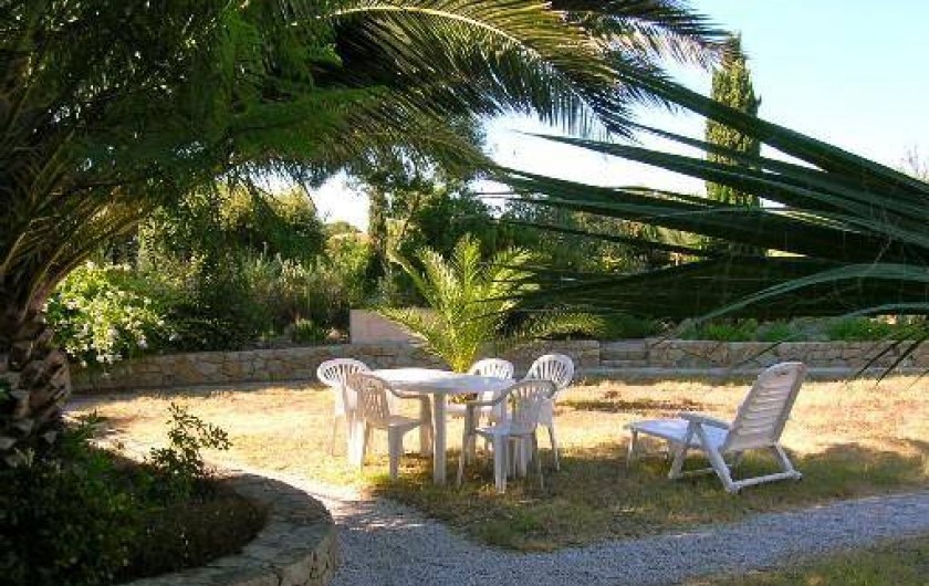 Location de vacances - Appartement à Lumio - Jardin