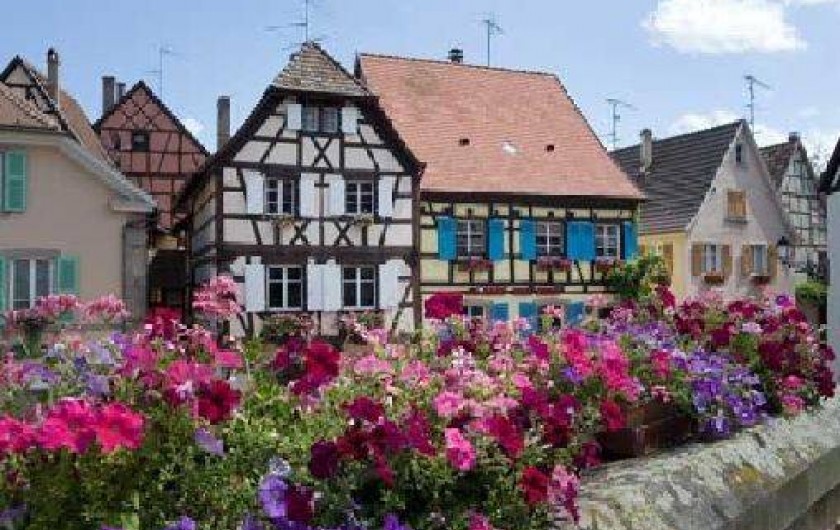 Location de vacances - Chambre d'hôtes à Sondernach
