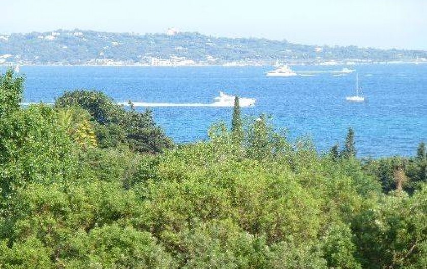 Location de vacances - Villa à Sainte-Maxime