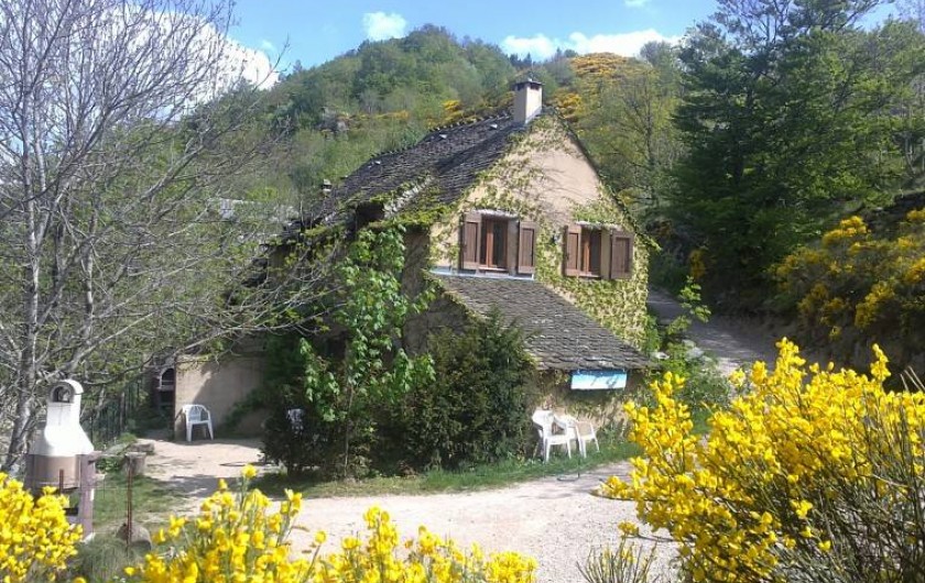 Location de vacances - Gîte à Le Pont-de-Montvert - gites au Printemps