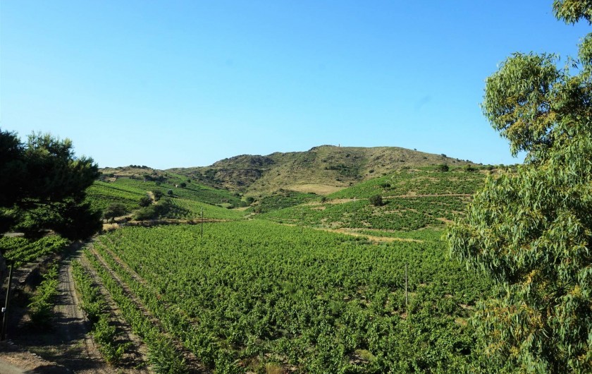 Location de vacances - Gîte à Port-Vendres