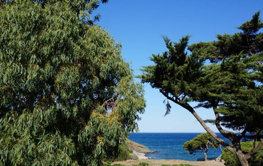 Location de vacances - Gîte à Port-Vendres
