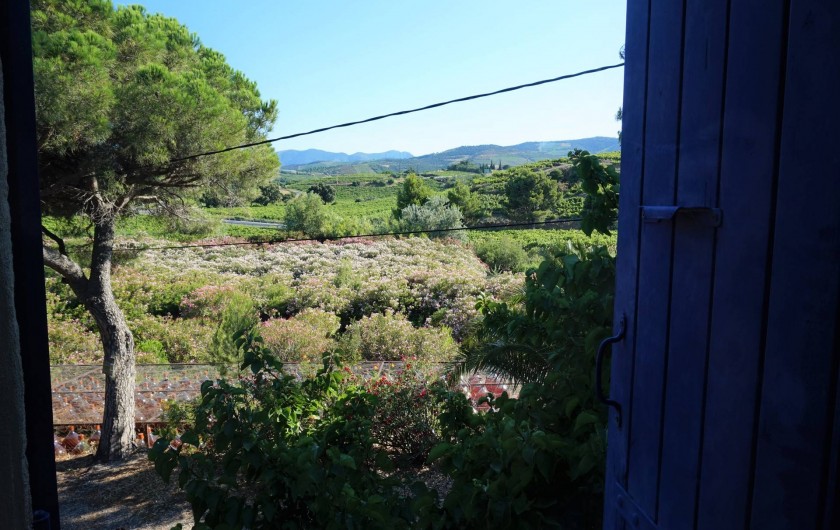 Location de vacances - Gîte à Port-Vendres